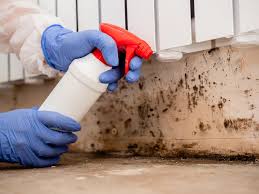 Best Residential Mold Inspection & Testing  in Greenfield, CA